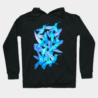 Hummingbird Dance in Sharpie (IceBird Edition) Hoodie